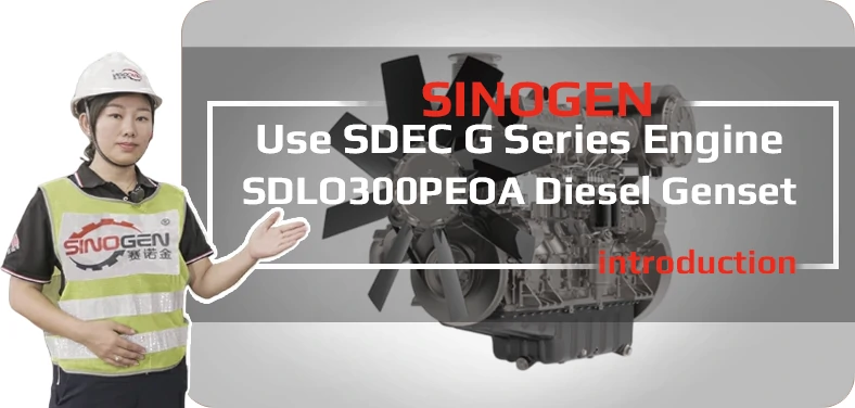  SDLO300PEOA Video